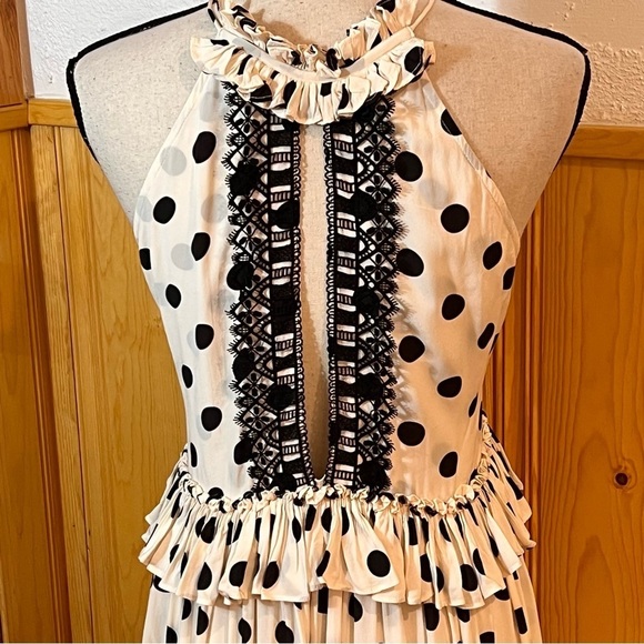 Evarae Alegra Polk Dot Lace Trim Maxi Dress Sz-2 - Picture 8 of 13
